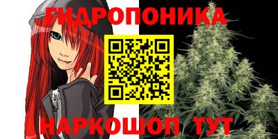 стафф Новокубанск