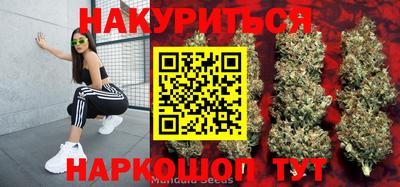 хмурый Новозыбков