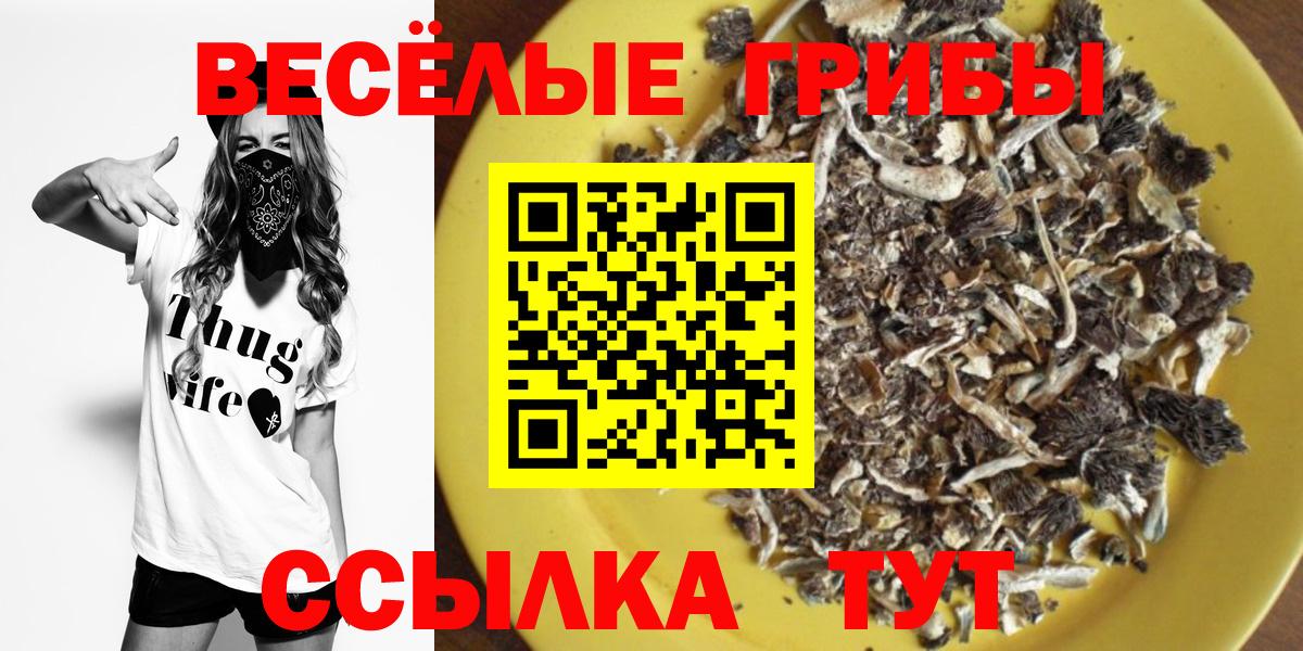 Галлюциногенные грибы ЛСД Сарапул