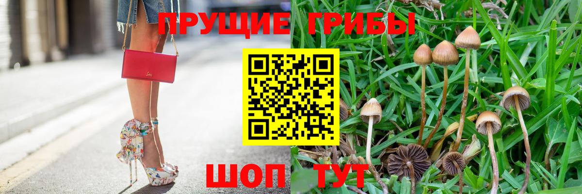 Сарапул  наркота  Галлюциногенные грибы прущие грибы  Вход с VPN  Галлюциногенные грибы MAGIC MUSHROOMS 